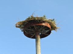 Osadenie hniezda pre bociana