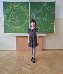 slavik_00014.jpg