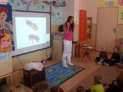Učíme sa o Včielkach