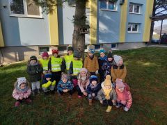 vtaciky_v_zime_005.jpg